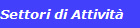 Settori di Attivit
